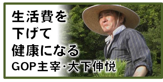 gop_ryusuibana.jpg